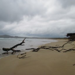 A Boat Ride and Four Caregivers