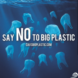 Reusable T-Shirt Bags